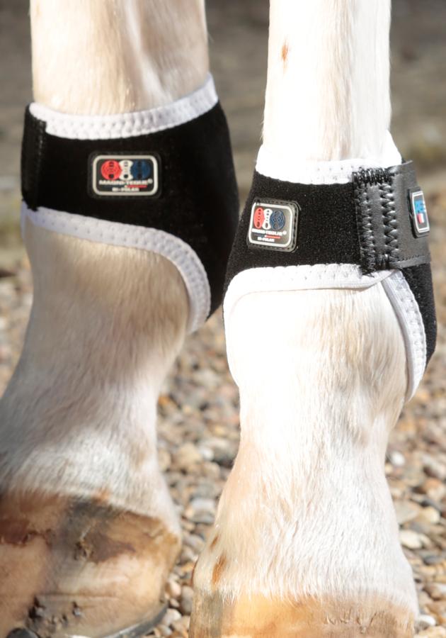 Premier equine magnetic cheap fetlock boots