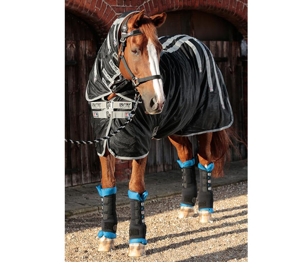 PEI Magni-Teque Magnetic Horse Rug BLANKETS & SHEETS