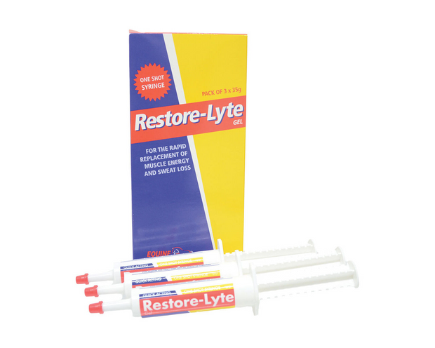 Restore-Lyte Gel Electrolyte (3 x 35g) SUPPLEMENTS