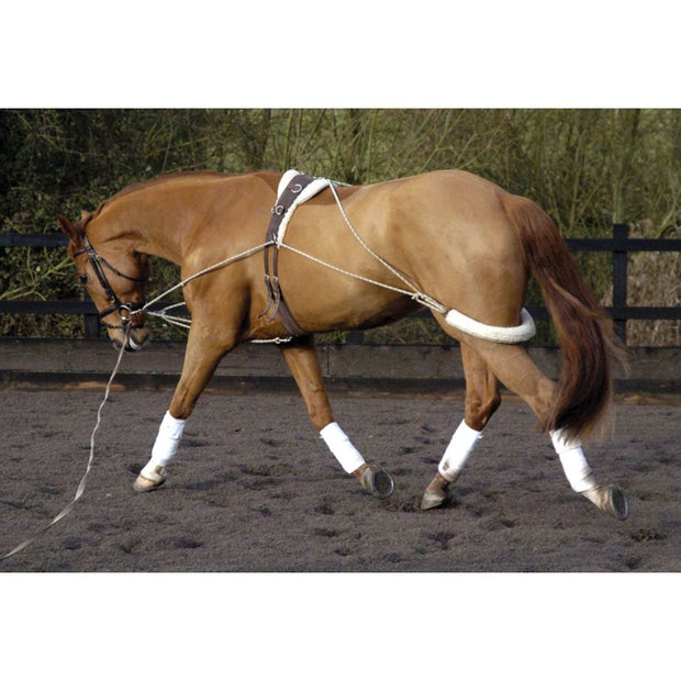 Lunging Training Aid LUNGE EQUIPMENT